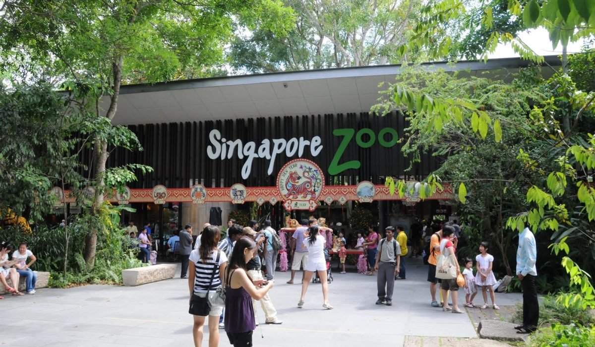 sig zoo